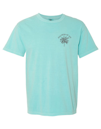 Misty Mint 'Fullness Of Joy' Tee